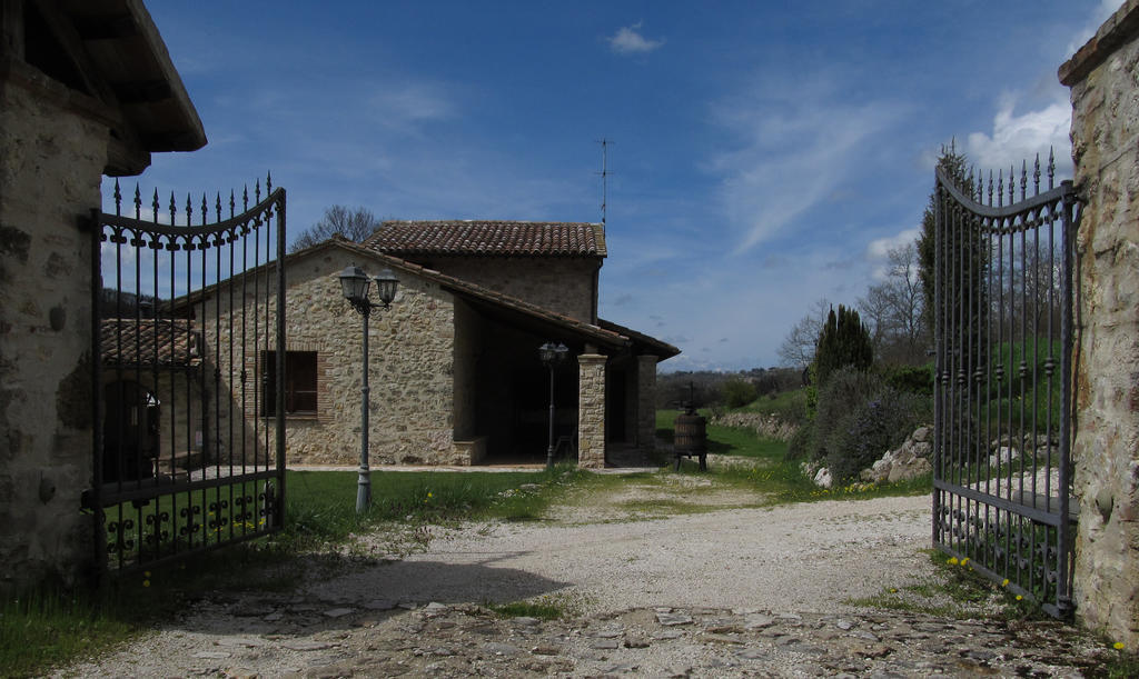 Il Vignale Pensionat Massa Martana Exteriör bild
